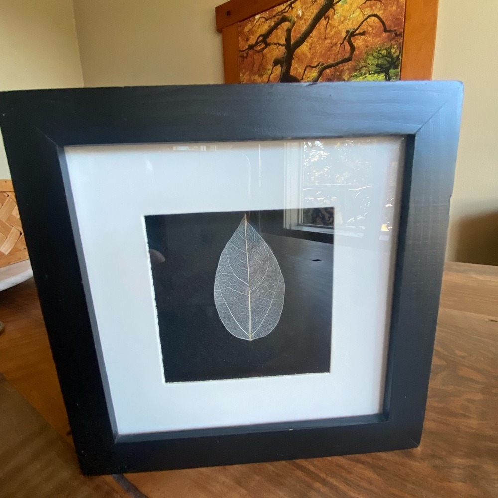 Dipped Leaf Framed Matted Wall Shelf Art Black & White Shadowbox Frame 7” Square
